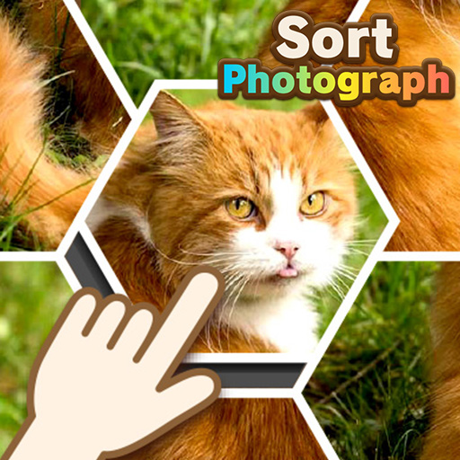 Sort Photograph img